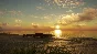 ⭐ theHunter: Call of the Wild - Emerald Coast Australia