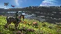 Avatar: Frontiers of Pandora 🔑UBISOFT KEY 🌎 GLOBAL*