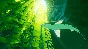 ⭐ ABZU Steam Key 🔑 GLOBAL