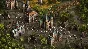 Cossacks 3 - DLC Bundle Steam Key