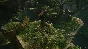 ⭐ Uncharted: Legacy of Thieves Collection EU Steam КЛЮЧ