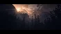 Until Dawn Steam КЛЮЧ