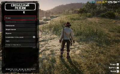 RDO GOLD BAR + MONEY $ RDR RED DEAD REDEMPTION 2 ONLINE