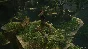 ✅ UNCHARTED: Legacy of Thieves Collection Steam Account
