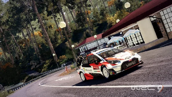 ✅ WRC 9 FIA World Rally Championship PC Steam Account