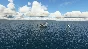 🛩️ USS George H.W. Bush CVN-77 | MSFS