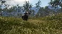 ⭐ theHunter: Call of the Wild - Emerald Coast Australia