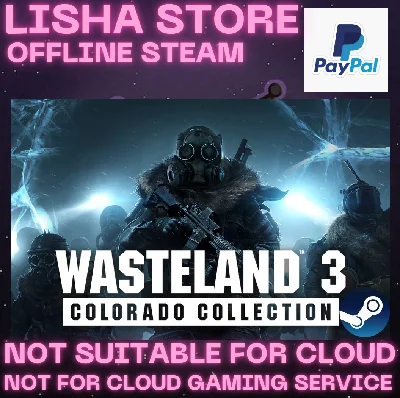 Wasteland 3 Colorado Collection Steam Offline PAYPAL
