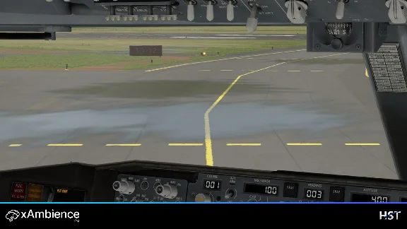 🌦️ xAmbience Pro | X-Plane 11