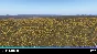 🌦️ xAmbience Pro | X-Plane 11