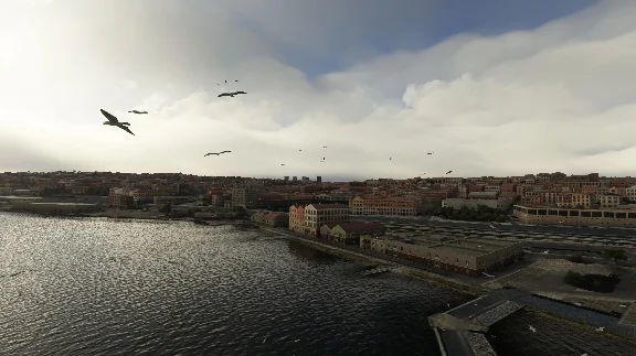 🦅 FS Birds - Europe East | MSFS