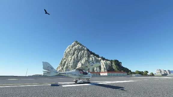 🦅 FS Birds - Europe East | MSFS