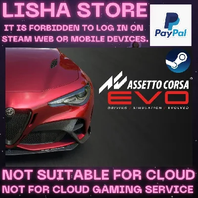 Assetto Corsa EVO Steam Offline Paypal