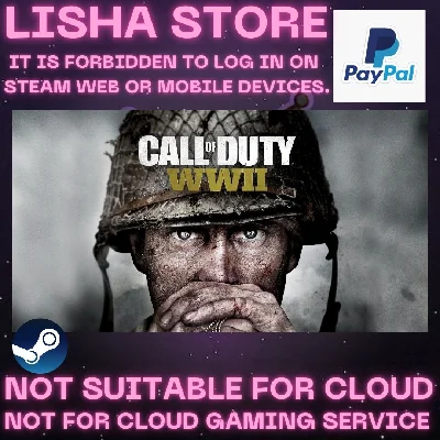Call of Duty: WW II Steam Offline Paypal