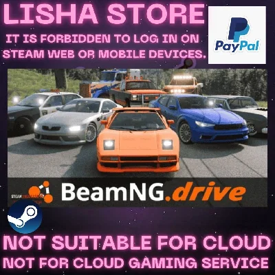 BeamNG.drive Steam Offline Paypal