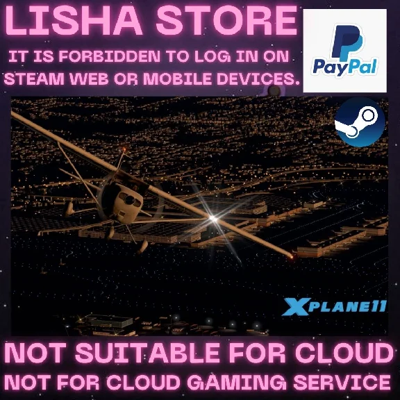 X-Plane 11 Steam Offline Paypal