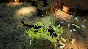 ⭐️ Empires of the Undergrowth Exploding Ants STEAM GIFT