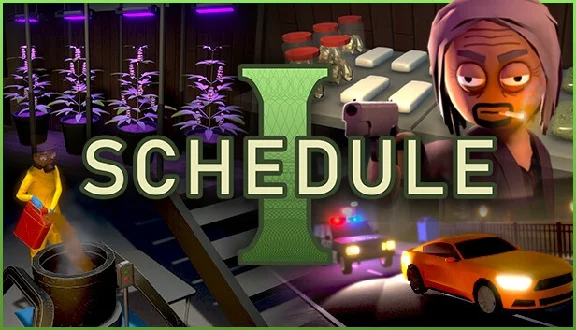 Schedule I (Account rent Steam) Online