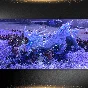 🟦⭐Total War: WARHAMMER III Shadows of Change DLC⚡STEAM