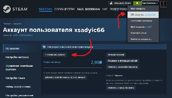 💳 Steam Recharge Code Turkey | Argentina 5-100 USD 💳