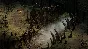 Pillars of Eternity - Definitive + Tyranny – Gold EGS