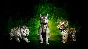 Diablo IV: Vessel of Hatred - Standard Pack DLC XBOX On