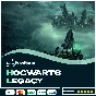 ✅ Hogwarts Legacy PS4/PS5