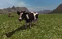 ⭐ Farming Simulator 2011 EU Steam Key 🔑EUROPE