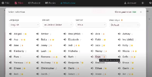 🎦 Fliki Ai | Standart, Premium | No login