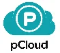 ☢️ pCloud Premium 3 Month 500 GB | Личный кабинет 🚀