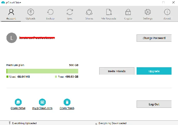 ☢️ pCloud Premium 3 Month 500 GB | Личный кабинет 🚀