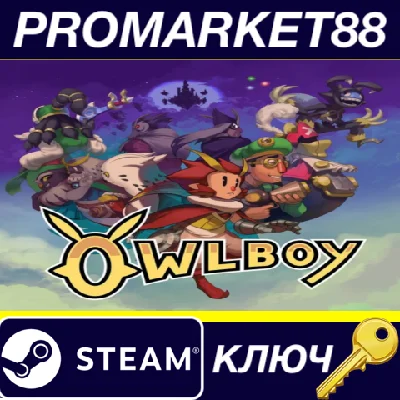⭐ Owlboy Steam Key 🔑 GLOBAL