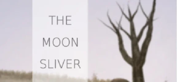The Moon Sliver 🔸 STEAM GIFT ⚡ АВТО 🚀