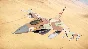 🧨War Thunder - F-16A Netz Pack Xbox Activation