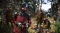 Kingdom Come: Deliverance II Soundtrack DLC STEAM⚡️