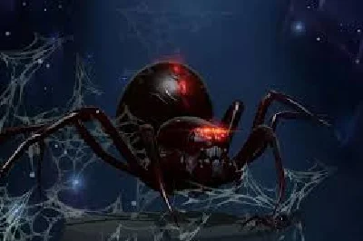 Widow of the Undermount Gloom