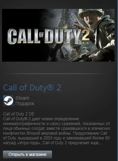 Call of Duty 2 (Steam Gift Region Free / ROW)