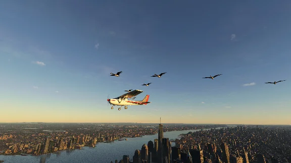 🌦️ FS Birds - Central USA | MSFS
