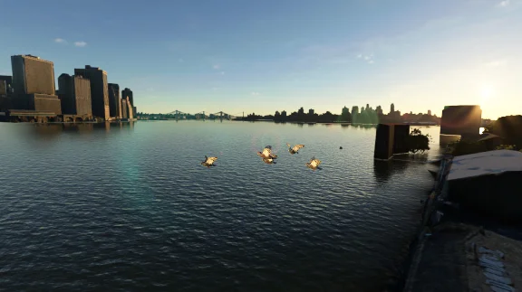 🌦️ FS Birds - Central USA | MSFS