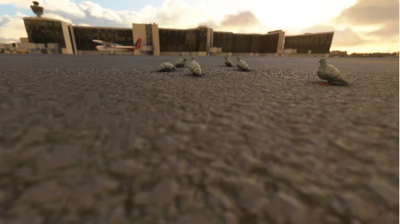 🌦️ FS Birds - Central USA | MSFS