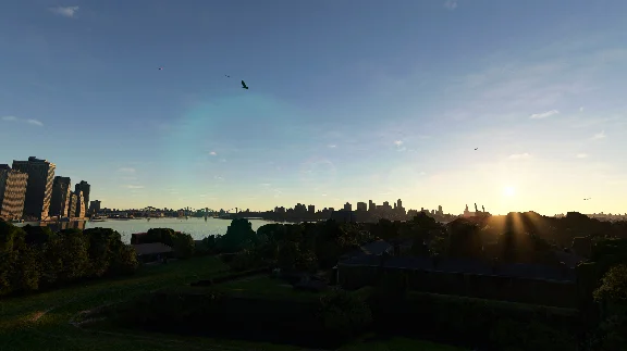 🌦️ FS Birds - Central USA | MSFS