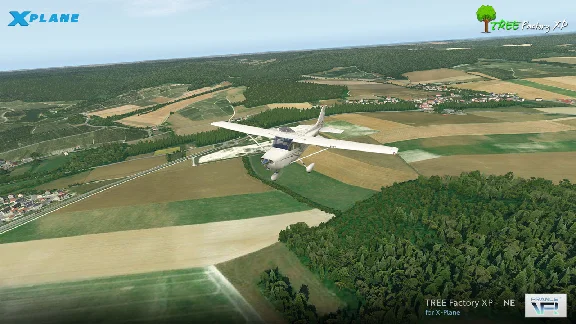 🌦️ Tree Factory North-East | XP 11/12