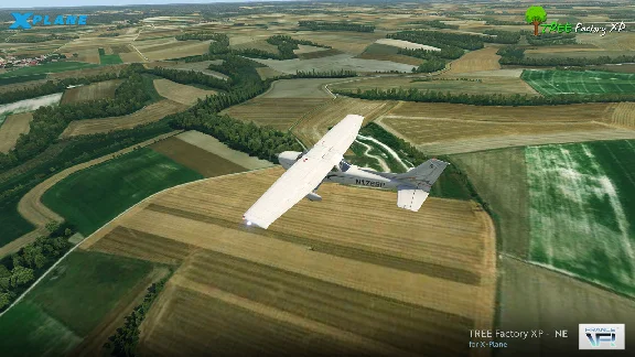 🌦️ Tree Factory North-East | XP 11/12
