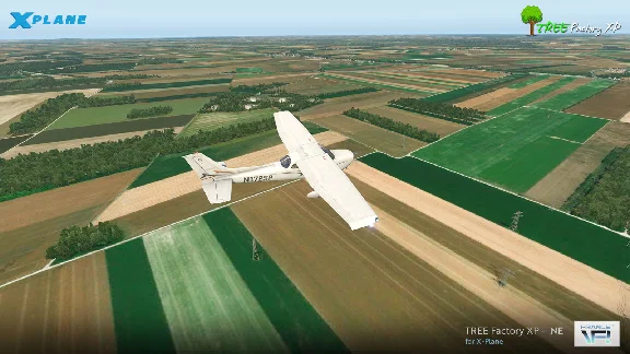 🌦️ Tree Factory North-East | XP 11/12