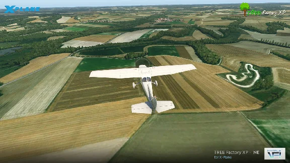 🌦️ Tree Factory North-East | XP 11/12