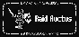Raid Auctus - STEAM GIFT RUSSIA