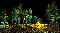LIDAR EXPLORATION PROGRAM - STEAM GIFT RUSSIA