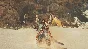 ⭐️ Monster Hunter Wilds - Gesture: Celebratory Knee Sli
