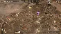 🚀 Hollywood Animal 🤖 Steam Gift RU + other ⚡ AUTO