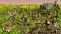 ⭐ RollerCoaster Tycoon 3: Complete Edition EU PC Steam 